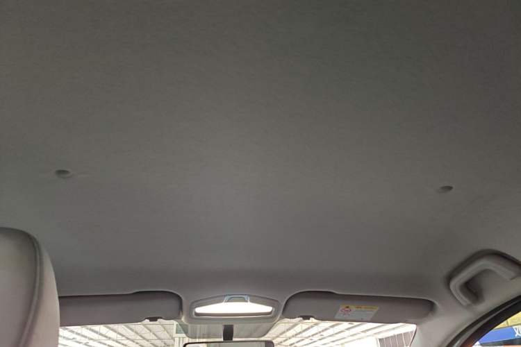Used Geometry E Firefly 2024 301km Flowing Light Headliner