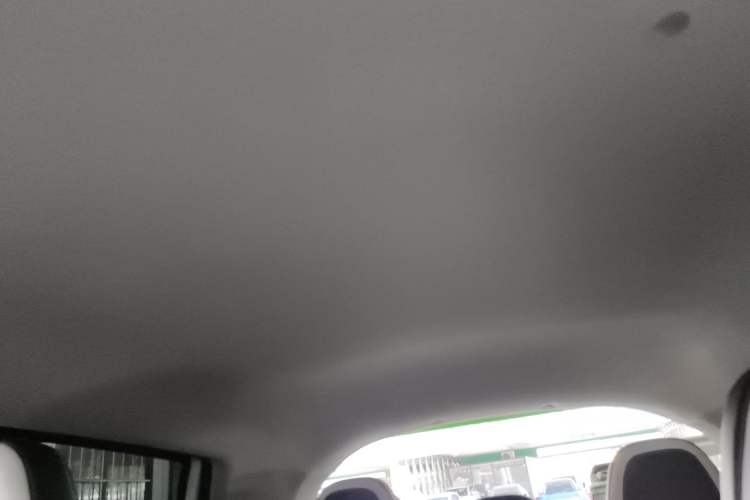 Used Geometry E Firefly 2024 401 km Fluorescent Headliner