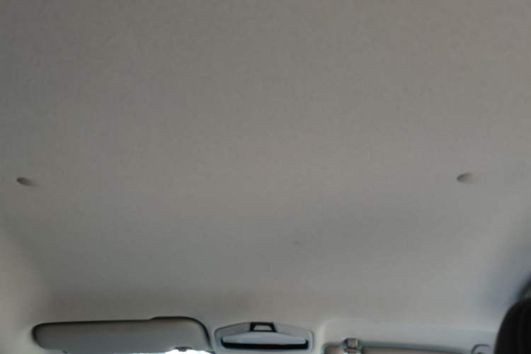 Used Geometry E Firefly 2024 301km Starlight Headliner