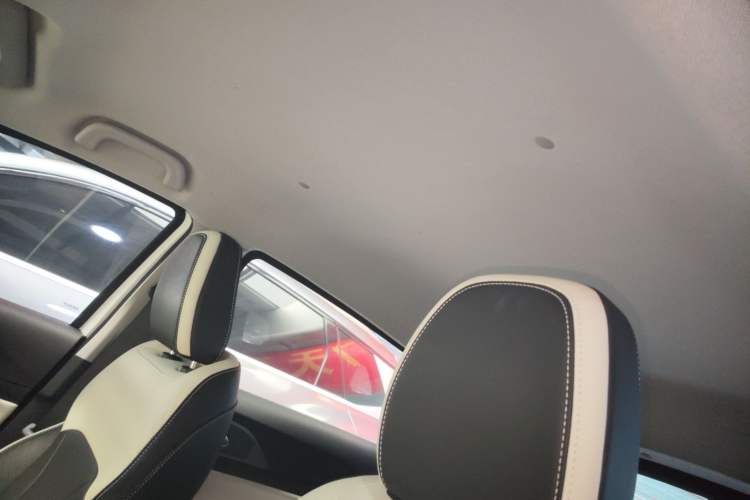 Used Geometry E Firefly 2024 301km Starlight Headliner