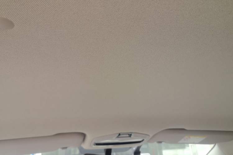 Used Geometry E Firefly 2024 401 km Fluorescent Headliner