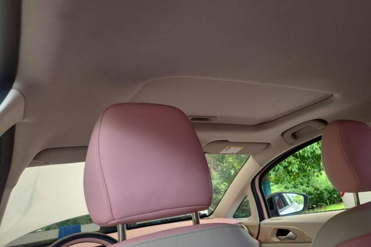 Used Geometry E Firefly 2024 401 km Fluorescent Headliner