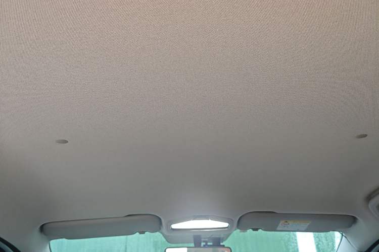 Used Geometry E Firefly 2024 301km Flowing Light Headliner