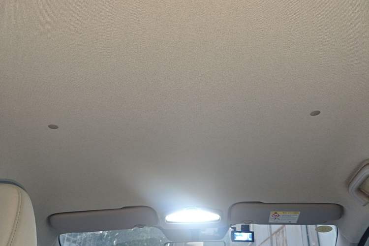 Used Geometry E Firefly 2024 301km Flowing Light Headliner