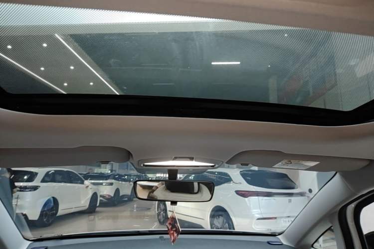 Used Geometry E Firefly 2024 301km Starlight Headliner