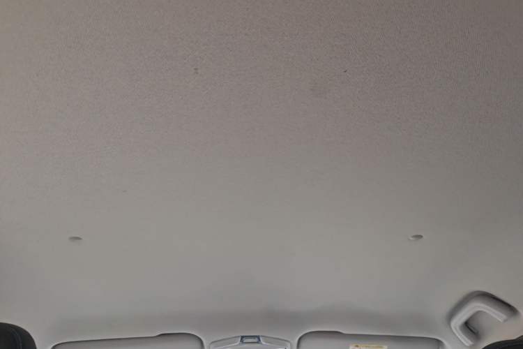Used Geometry E Firefly 2024 401km Starlight Headliner
