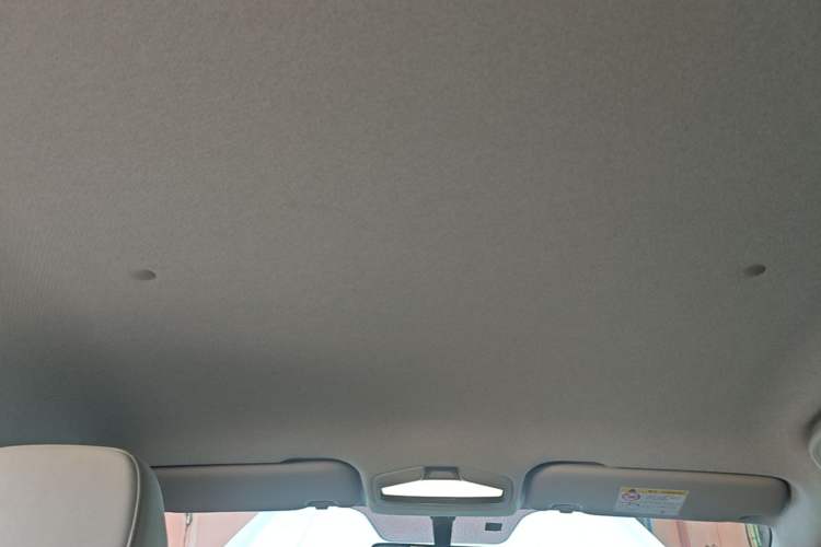 Used Geometry E Firefly 2024 301km Flowing Light Headliner
