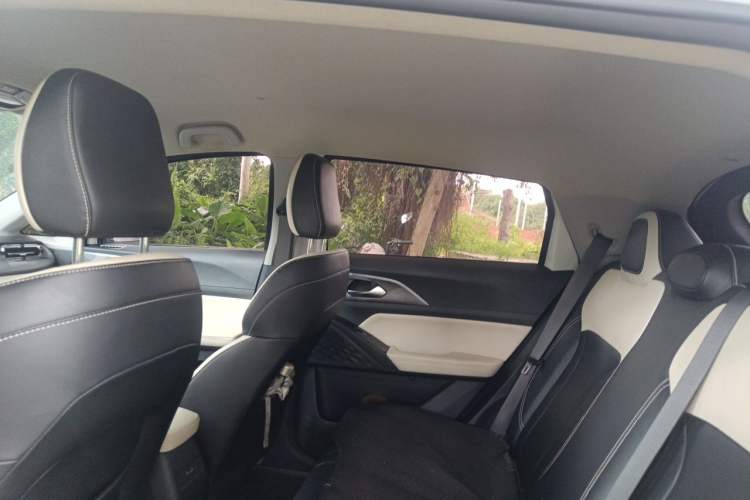 Used Geometry E Firefly 2024 401km Starlight Headliner