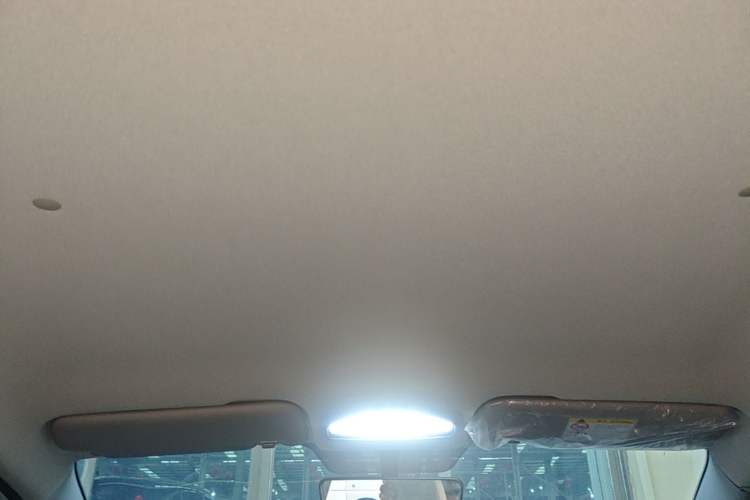 Used Geometry E Firefly 2024 301km Flowing Light Headliner