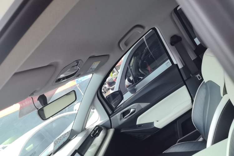 Used Geometry E Firefly 2024 301km Starlight Headliner