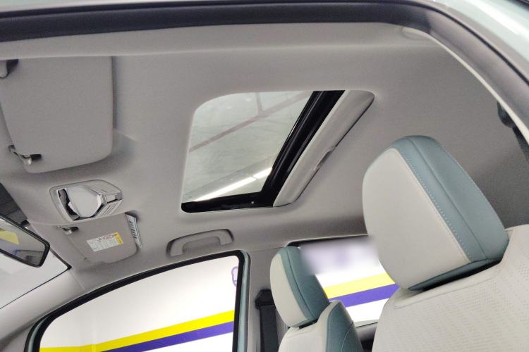 Used Geometry E Firefly 2024 401 km Fluorescent Headliner