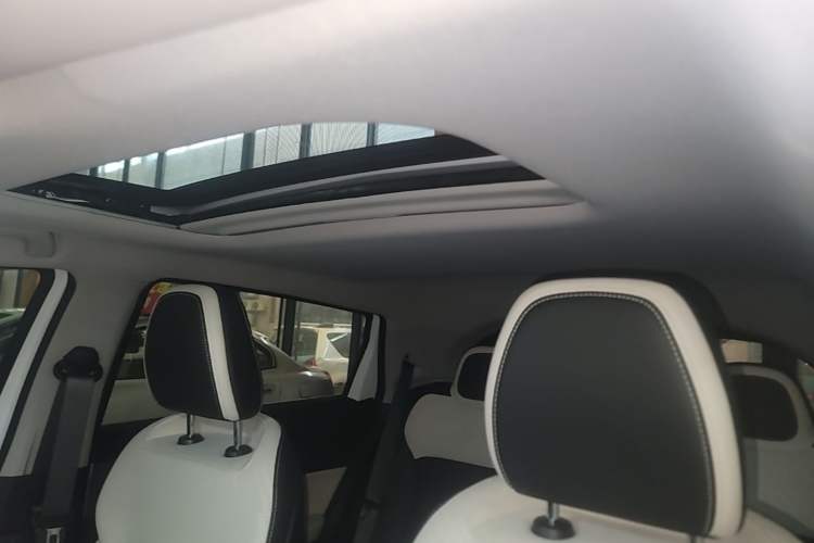 Used Geometry E Firefly 2024 401km Starlight Headliner