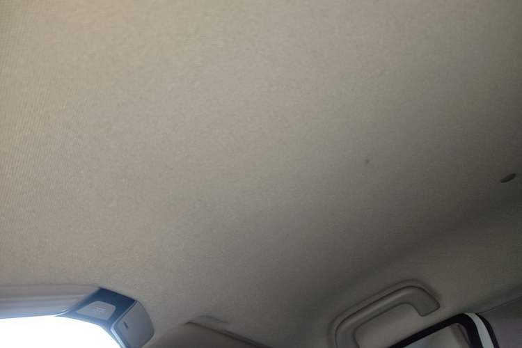 Used Geometry E Firefly 2024 301km Starlight Headliner