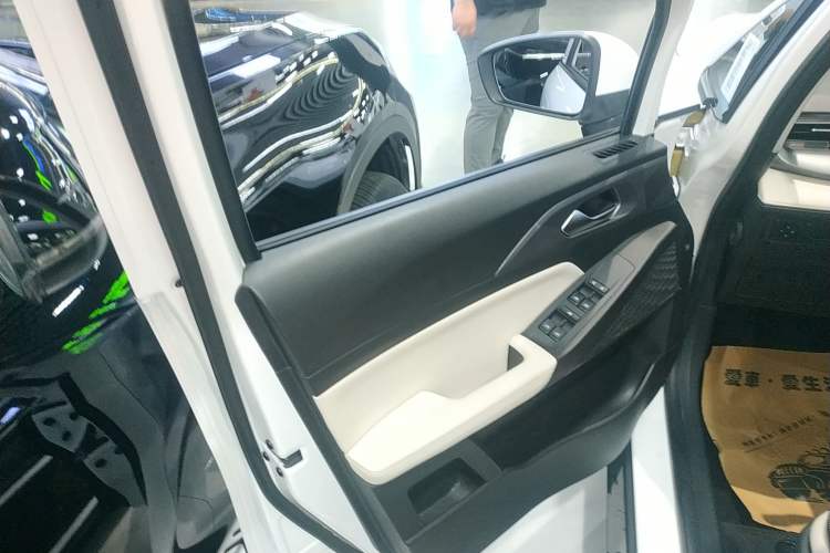 Used Geometry E Firefly 2024 401km Starlight Left Front Door Interior