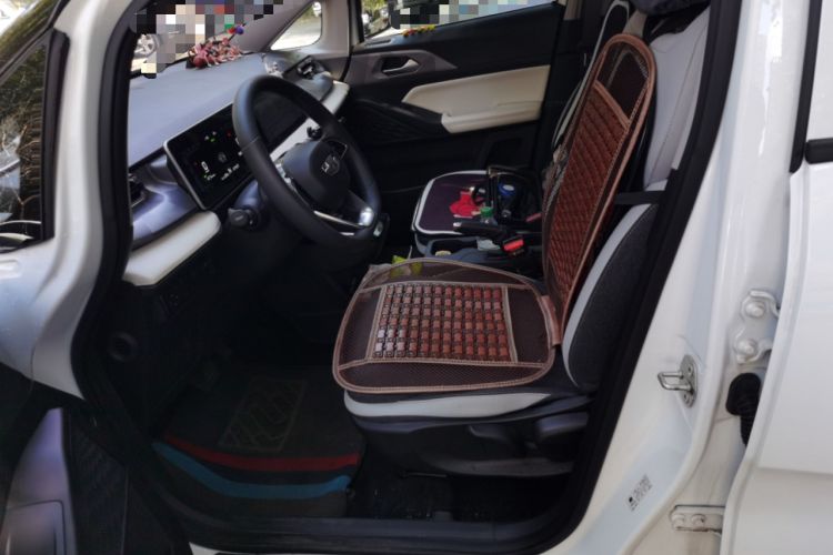 Used Geometry E Firefly 2024 301km Flowing Light Left Front Seat