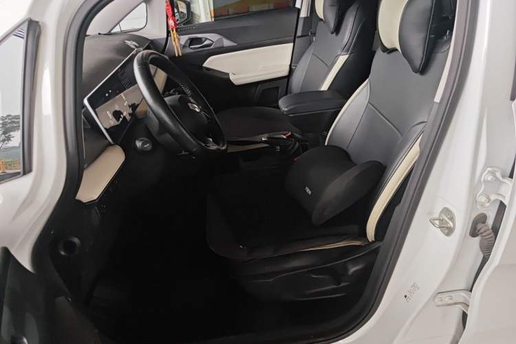 Used Geometry E Firefly 2024 301km Flowing Light Left Front Seat