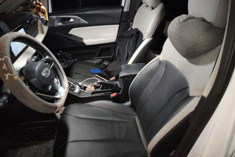 Used Geometry E Firefly 2024 301km Flowing Light Left Front Seat