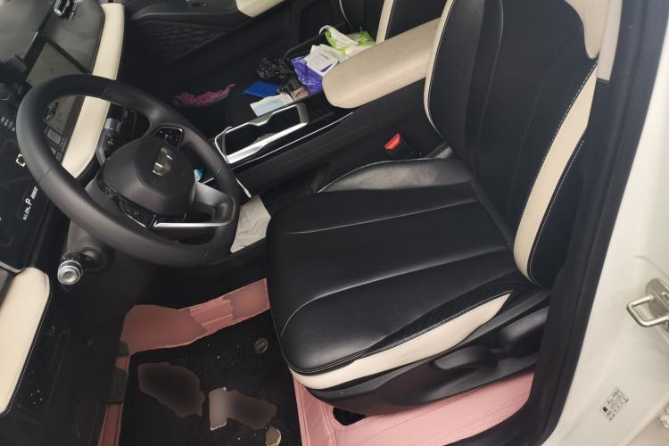 Used Geometry E Firefly 2024 401km Starlight Left Front Seat