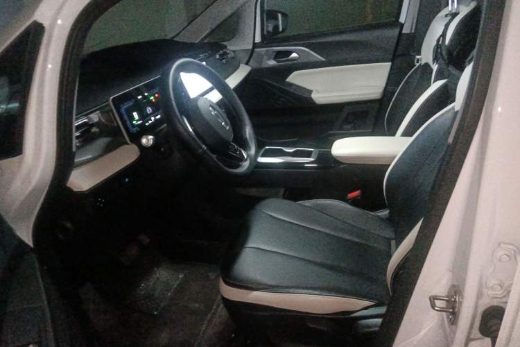 Used Geometry E Firefly 2024 301km Starlight Left Front Seat
