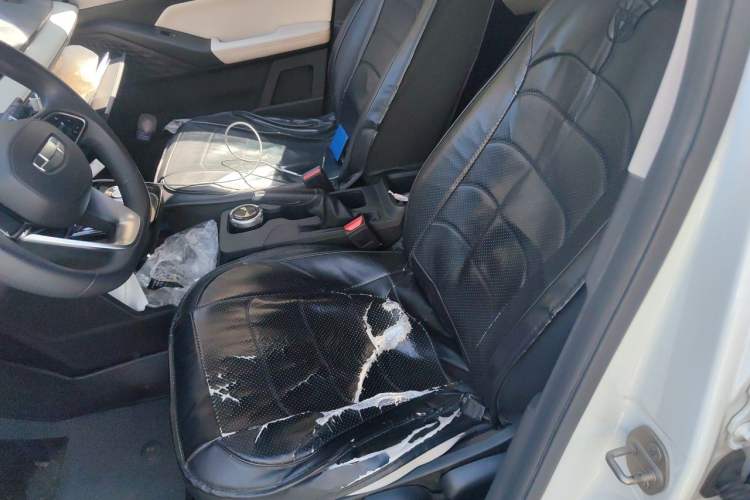 Used Geometry E Firefly 2024 301km Flowing Light Left Front Seat