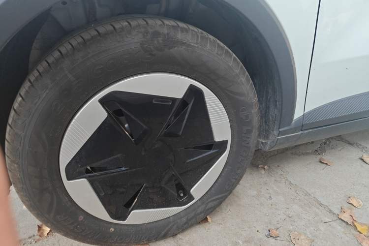 Used Geometry E Firefly 2024 301km Flowing Light Left Front Wheel Hub
