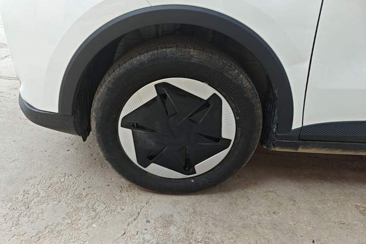 Used Geometry E Firefly 2024 301km Flowing Light Left Front Wheel Hub