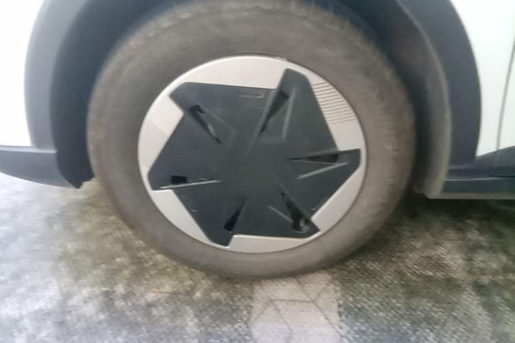 Used Geometry E Firefly 2024 401km Starlight Left Front Wheel Hub