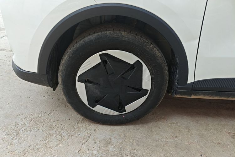 Used Geometry E Firefly 2024 301km Flowing Light Left Front Wheel Hub
