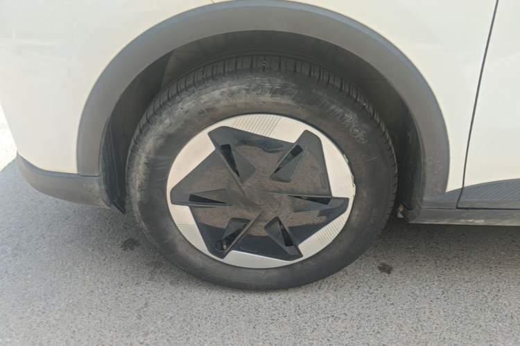 Used Geometry E Firefly 2024 301km Flowing Light Left Front Wheel Hub