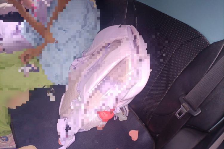 Used Geometry E Firefly 2024 301km Flowing Light Left Rear Seat