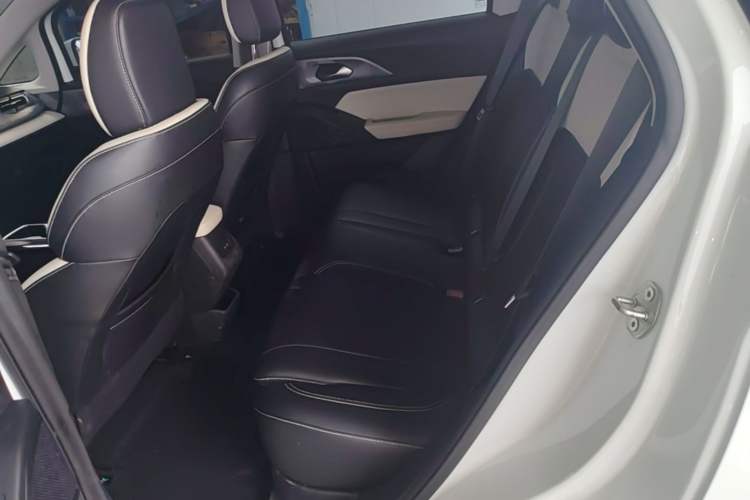 Used Geometry E Firefly 2024 301km Starlight Left Rear Seat
