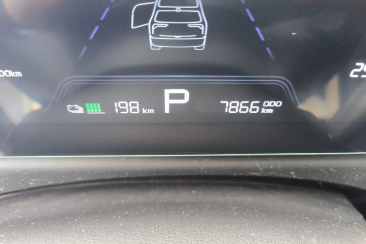Used Geometry E Firefly 2024 301km Starlight Odometer Close Up