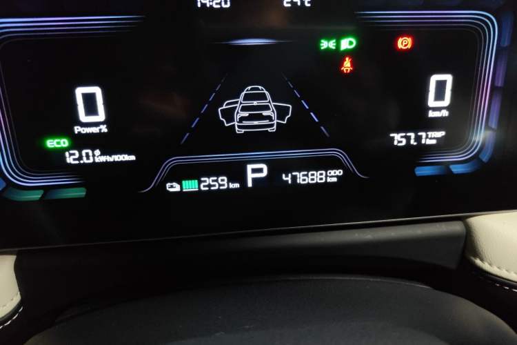Used Geometry E Firefly 2024 301km Starlight Odometer Close Up