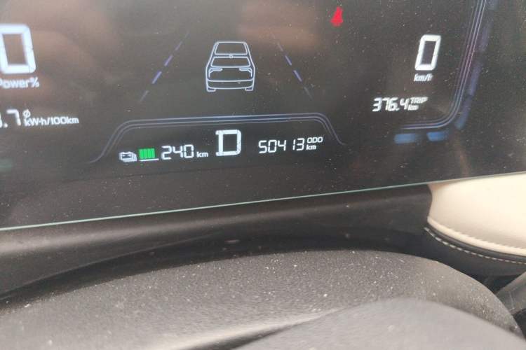 Used Geometry E Firefly 2024 301km Starlight Odometer Close Up
