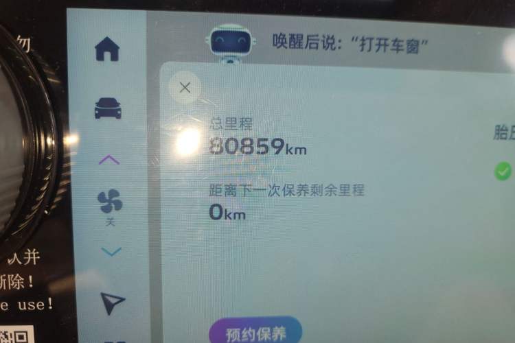 Used Geometry E Firefly 2024 401 km Fluorescent Odometer Close Up