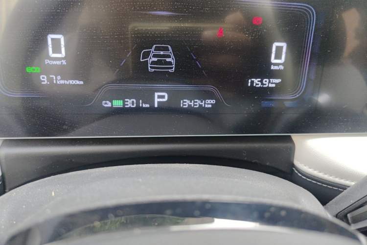 Used Geometry E Firefly 2024 301km Starlight Odometer Close Up