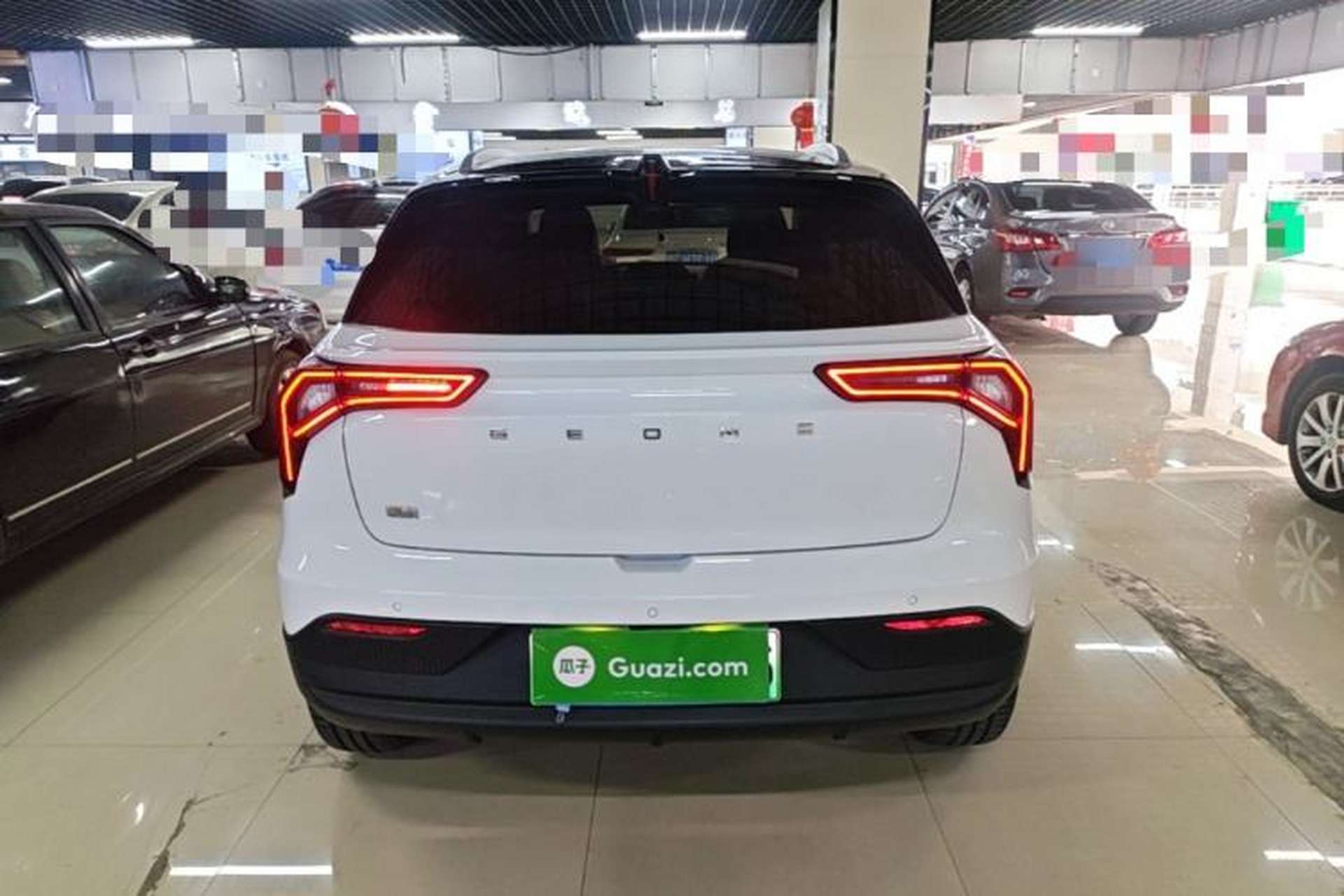 Used Geometry E Firefly 2024 401 km Fluorescent Rear