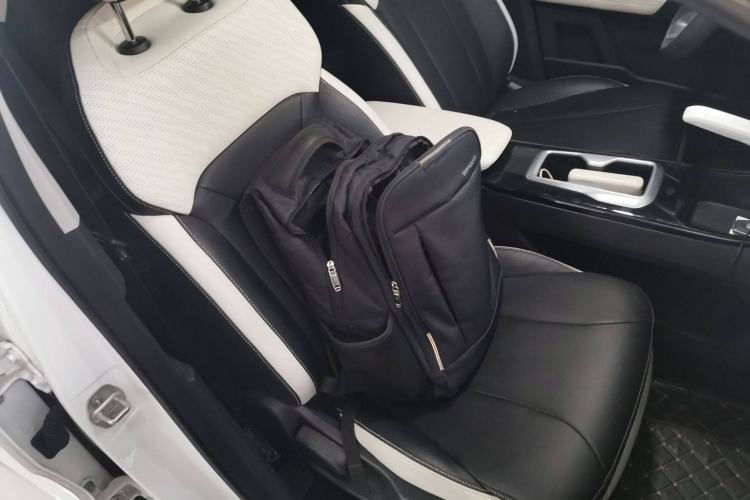 Used Geometry E Firefly 2024 401km Starlight Right Front Seat