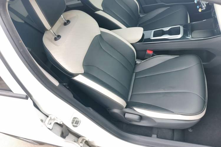 Used Geometry E Firefly 2024 301km Starlight Right Front Seat