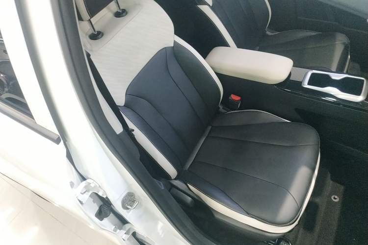 Used Geometry E Firefly 2024 401km Starlight Right Front Seat