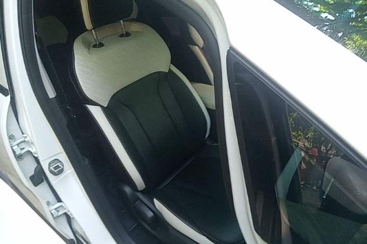 Used Geometry E Firefly 2024 401km Starlight Right Front Seat