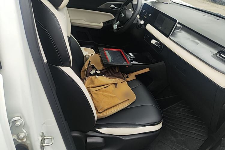 Used Geometry E Firefly 2024 301km Starlight Right Front Seat