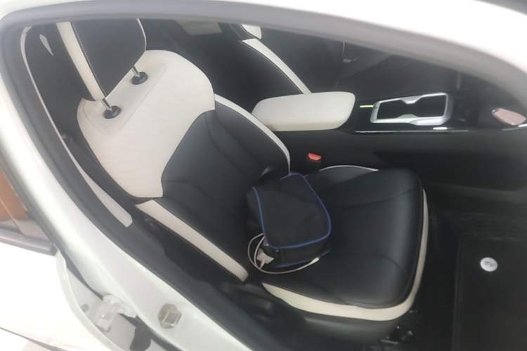 Used Geometry E Firefly 2024 401km Starlight Right Front Seat