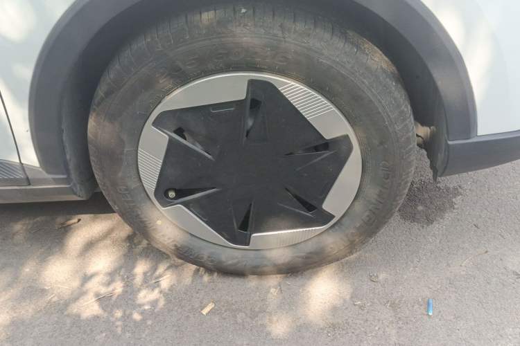 Used Geometry E Firefly 2024 301km Longteng Edition Right Front Wheel Hub