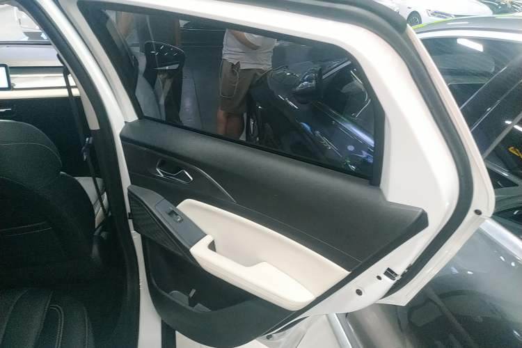 Used Geometry E Firefly 2024 401km Starlight Right Rear Door Interior