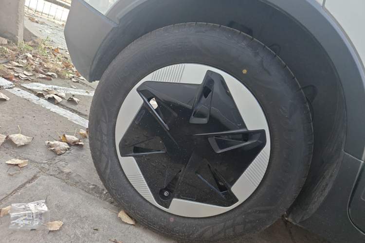 Used Geometry E Firefly 2024 301km Flowing Light Right Rear Wheel Hub