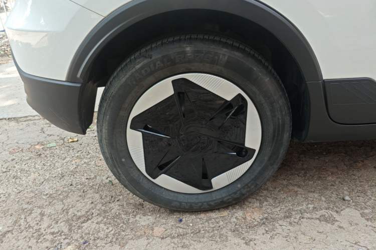 Used Geometry E Firefly 2024 301km Flowing Light Right Rear Wheel Hub