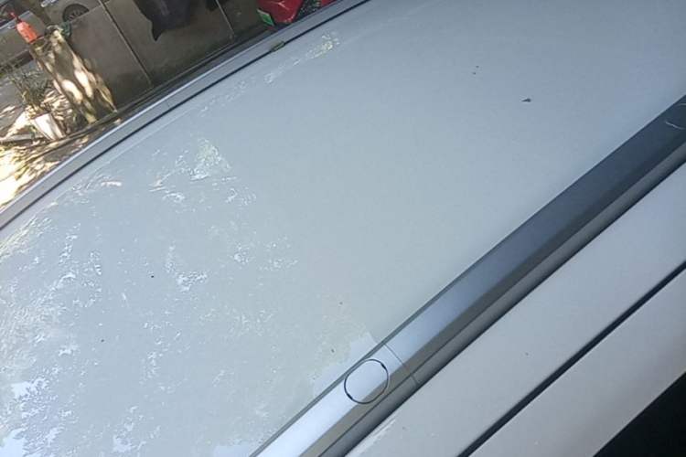 Used Geometry E Firefly 2024 401km Starlight Roof