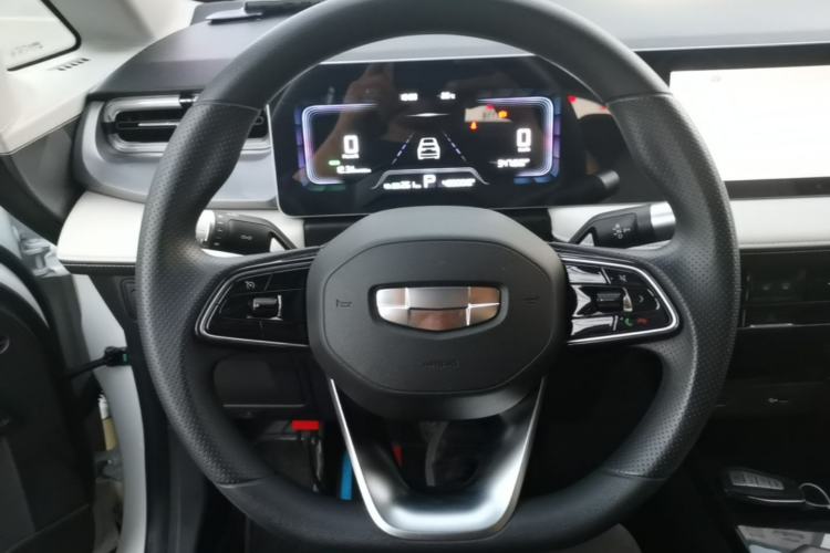Used Geometry E Firefly 2024 301km Starlight Steering Wheel