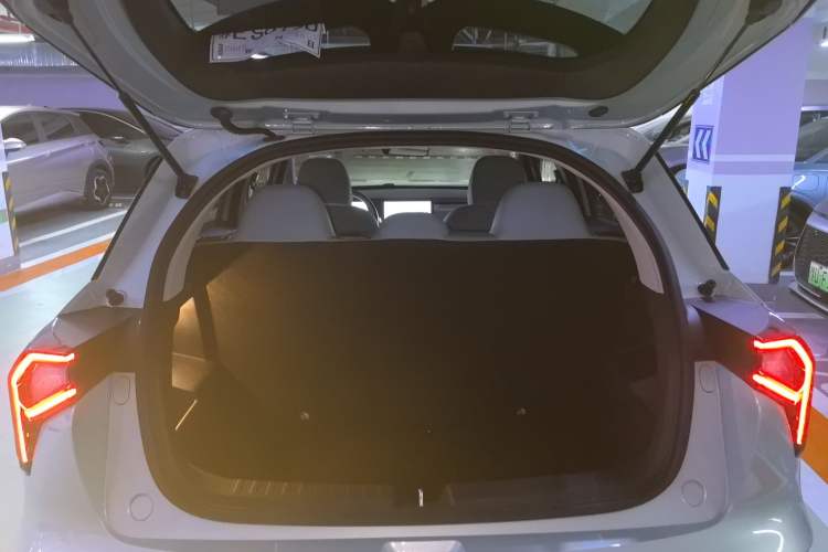 Used Geometry E Firefly 2024 401 km Fluorescent Trunk